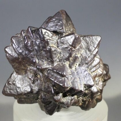 Prophecy Stone (Limonite after Marcasite) ~41mm