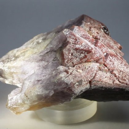 Red Amethyst Healing Crystal ~85mm