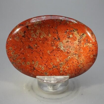 Red Jasper Palmstone (Extra Grade) ~70x50mm