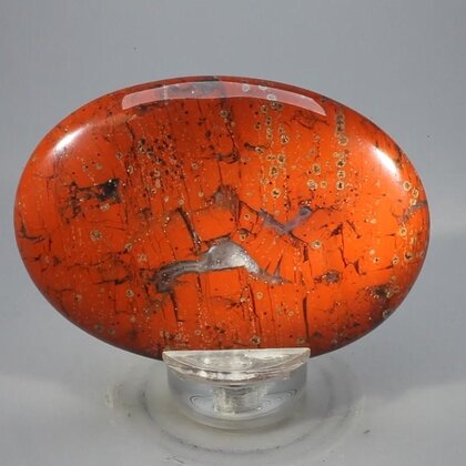 Red Jasper Palmstone (Extra Grade) ~70x50mm
