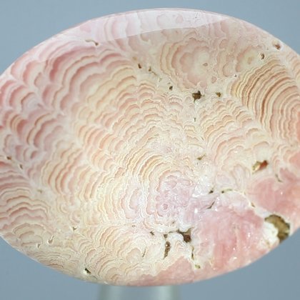Rhodochrosite Thumbstone (Extra Grade) ~40 x 30mm