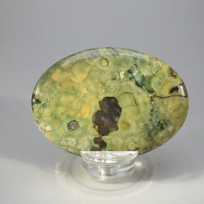 Rhyolite Palmstone (Extra Grade) ~70x50mm