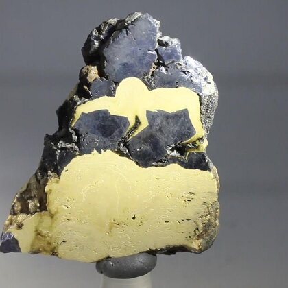 Schalenblende Polished Slice ~44mm