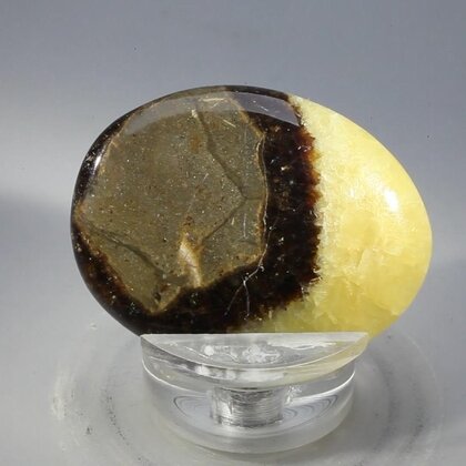Septarian Massage Stone ~41mm