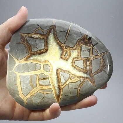 Septarian Polished Nodule ~10cm