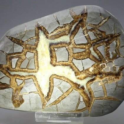 Septarian Polished Nodule ~13.5cm