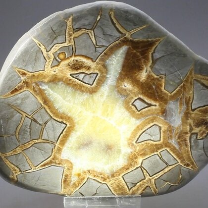 Septarian Polished Nodule ~13cm