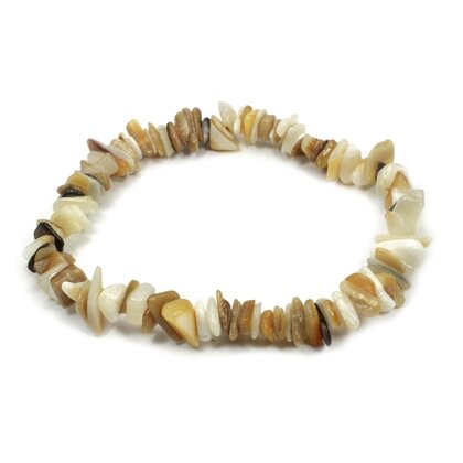 Shaded Shell Chip Bracelet
