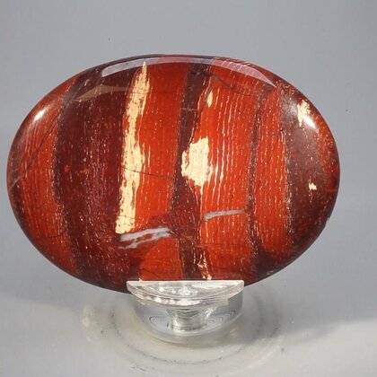 Snakeskin Jasper Palmstone (Extra Grade) ~70x50mm