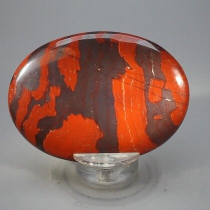 Snakeskin Jasper Palmstone (Extra Grade) ~70x50mm