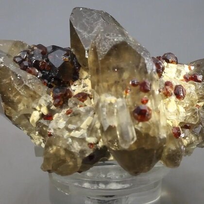Spessartine Garnet Mineral Specimen ~54mm