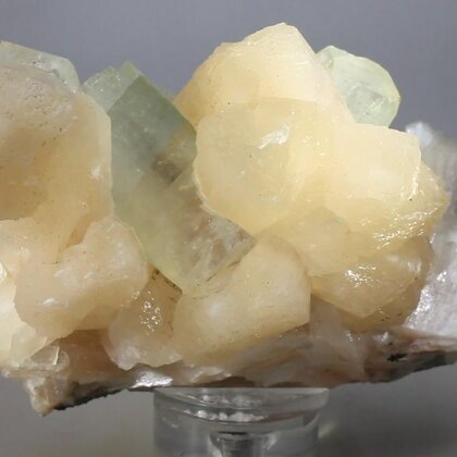 Stilbite with Apophyllite Cluster   ~90mm