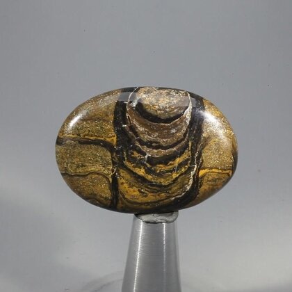 Stromatolite Massage Stone ~38mm