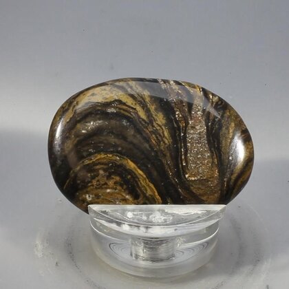 Stromatolite Massage Stone ~39mm
