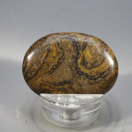 Stromatolite Massage Stone ~39mm