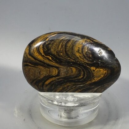 Stromatolite Massage Stone ~39mm