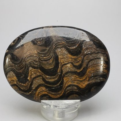 Stromatolite Palmstone (Extra Grade) ~70x50mm