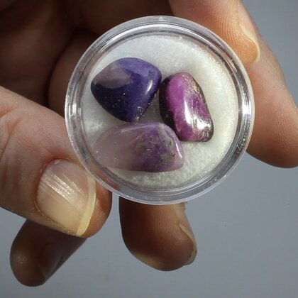 Sugilite Mini Tumblestone Chips