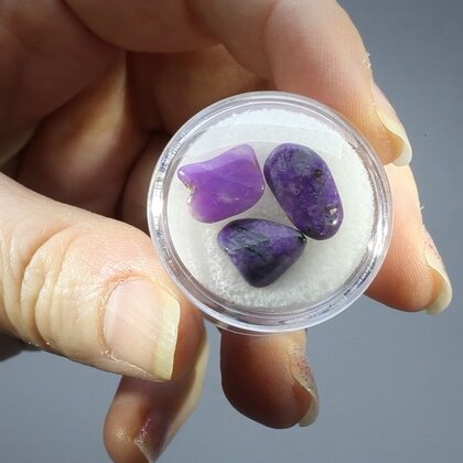 Sugilite Mini Tumblestone Chips