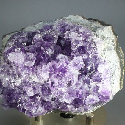 SUPERIOR Super Grade Amethyst Cluster (Uruguayan) ~70 x 55mm