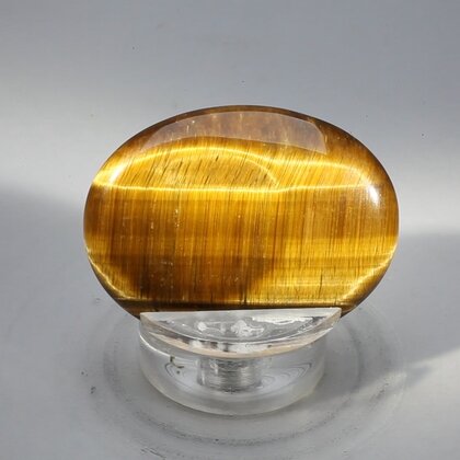 Tiger Eye Thumbstone (Extra Grade) ~40x30mm