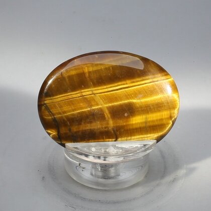 Tiger Eye Thumbstone (Extra Grade) ~40x30mm