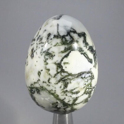 Tree Agate Crystal Egg ~49mm