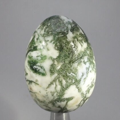 Tree Agate Crystal Egg ~50mm