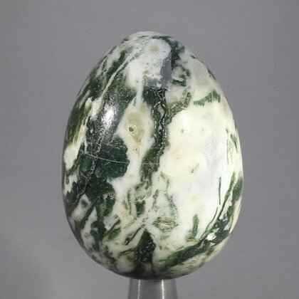 Tree Agate Crystal Egg ~50mm