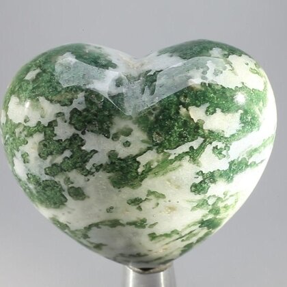 Tree Jasper Crystal Heart ~46mm