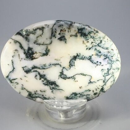 Tree Jasper Palmstone (Extra Grade) ~70x50mm