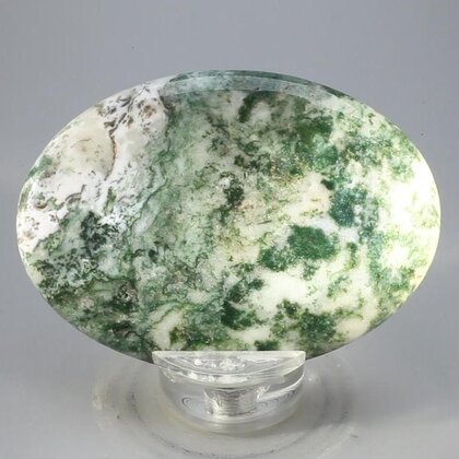 Tree Jasper Palmstone (Extra Grade) ~70x50mm