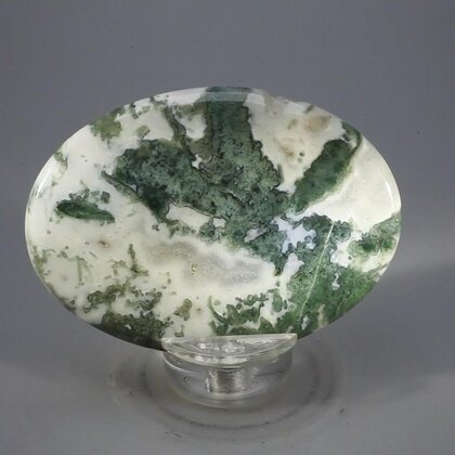Tree Jasper Palmstone (Extra Grade) ~70x50mm