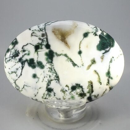Tree Jasper Palmstone (Extra Grade) ~70x50mm