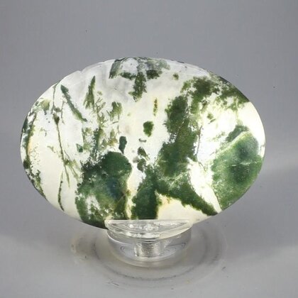 Tree Jasper Palmstone (Extra Grade) ~70x50mm