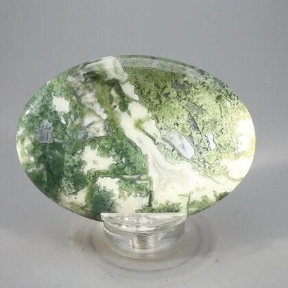 Tree Jasper Palmstone (Extra Grade) ~70x50mm