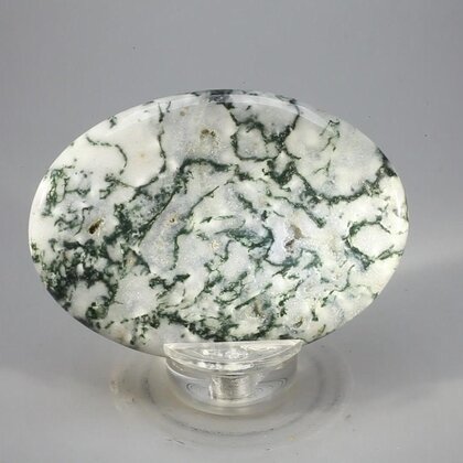 Tree Jasper Palmstone (Extra Grade) ~70x50mm