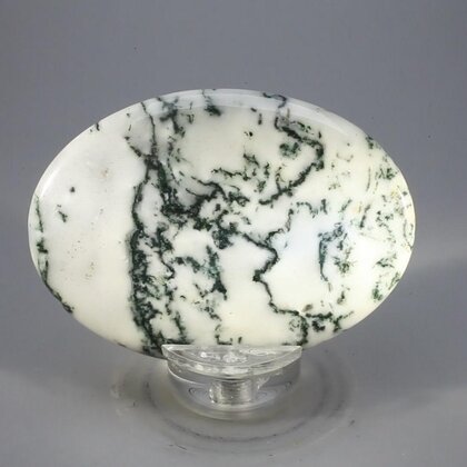 Tree Jasper Palmstone (Extra Grade) ~70x50mm