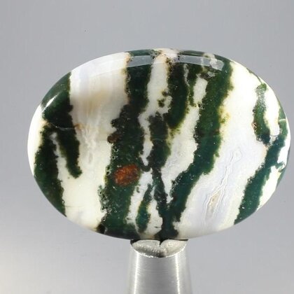 Tree Jasper Thumbstone (Extra Grade) ~40x30mm