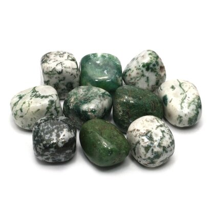 Tree Jasper Tumble Stone (20-25mm) - Single Stone