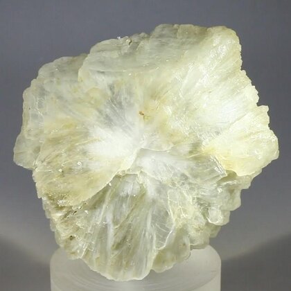 Tunellite Healing Crystal (Collector Grade) ~56mm
