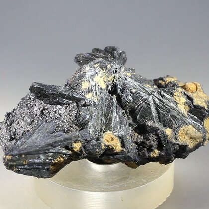 Vivianite Healing Crystal ~52mm