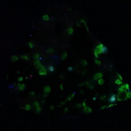 Willemite & Franklinite Healing Mineral ~30mm