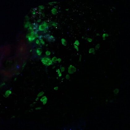 Willemite & Franklinite Healing Mineral ~38mm