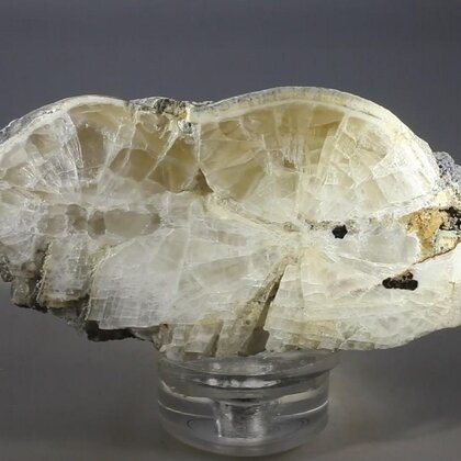 Witherite Mineral Specimen (part-polished) ~70mm